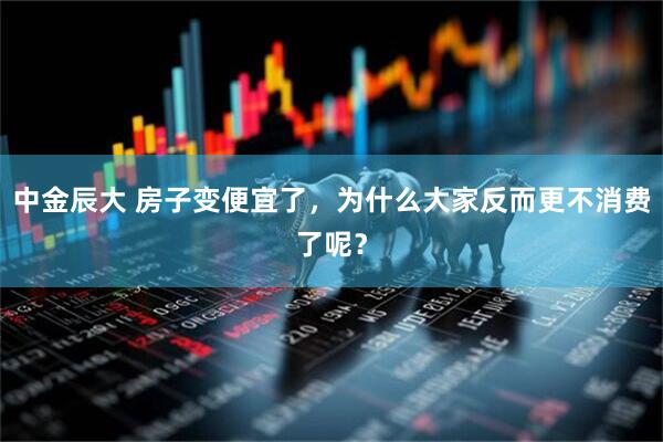 中金辰大 房子变便宜了，为什么大家反而更不消费了呢？