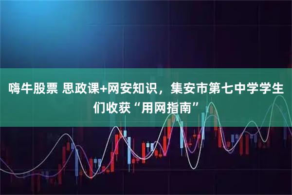嗨牛股票 思政课+网安知识，集安市第七中学学生们收获“用网指南”