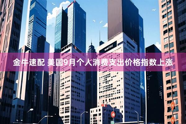 金牛速配 美国9月个人消费支出价格指数上涨