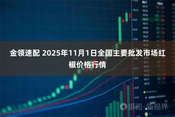 金领速配 2025年11月1日全国主要批发市场红椒价格行情