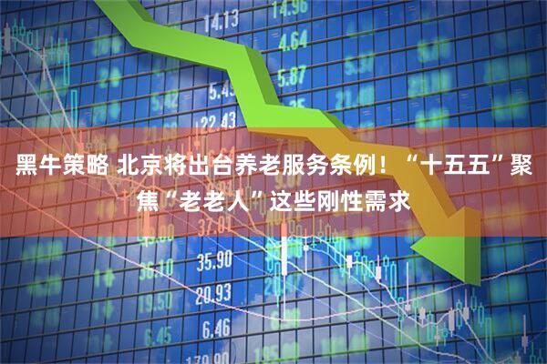黑牛策略 北京将出台养老服务条例！“十五五”聚焦“老老人”这些刚性需求