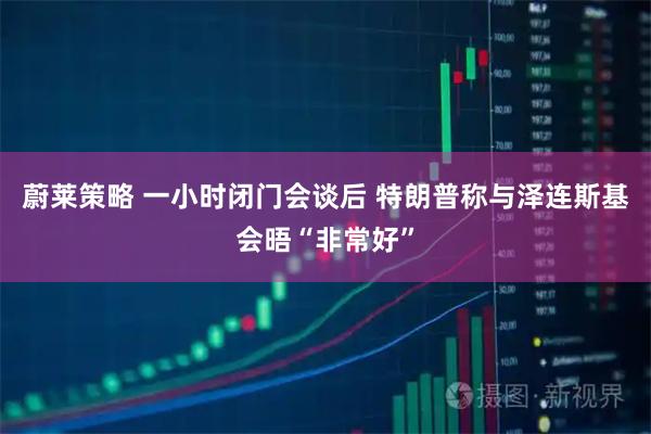 蔚莱策略 一小时闭门会谈后 特朗普称与泽连斯基会晤“非常好”